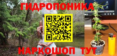дмт Бузулук