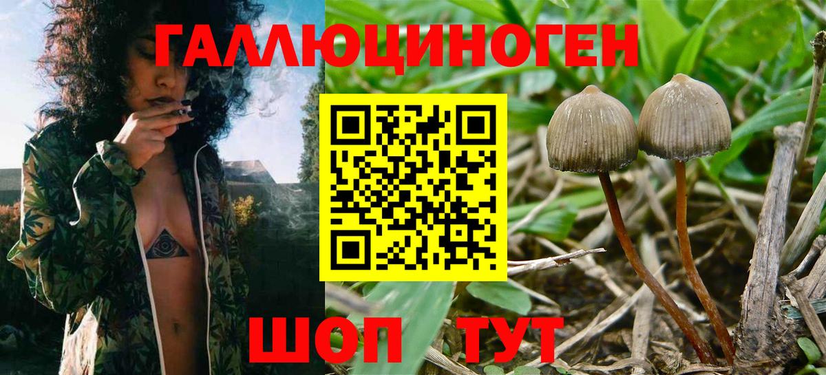 Меф мяу мяу Севастополь