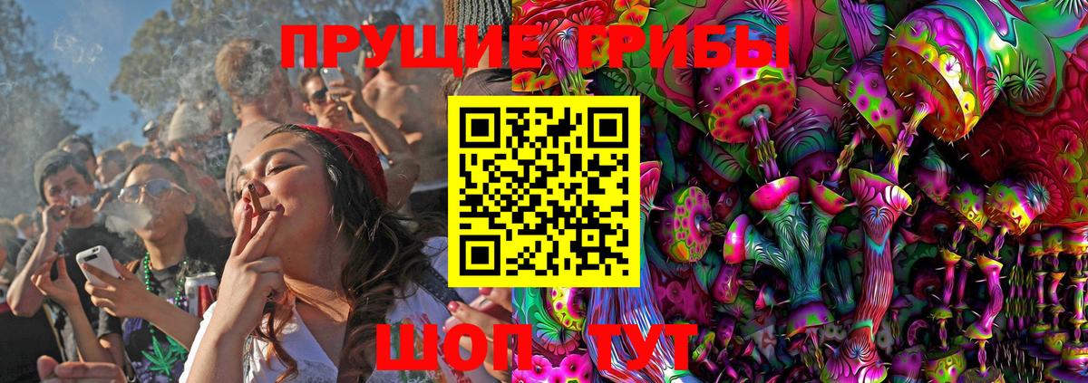 Псилоцибиновые грибы Magic Shrooms  Вход с VPN  Севастополь  закладки  Галлюциногенные грибы Psilocybine cubensis 