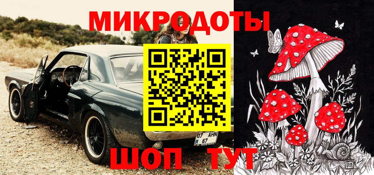 Галлюциногенные грибы Psilocybine cubensis Севастополь